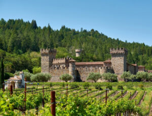 Wine Tour Napa, Napa Valley wine tours, Napa wine tasting packages, luxury wine tour Napa, book Napa wine tour, Napa Valley limousine service, private wine tour Napa, Napa limo wine tasting, hire limo for Napa wine tour, Napa wine train packages, Napa Valley transportation, wine tasting limo service, Napa Valley tour booking, group wine tours Napa, best Napa wine tour company, Napa wine tour deals, corporate Napa Valley tours, Napa bachelorette wine tours, Napa anniversary wine tasting, Napa wine weekend package 